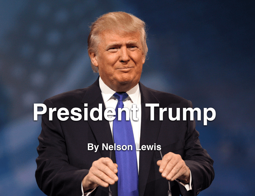 President Trump by Nelson Lewis