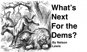 whats next for the dems by nelson lewis